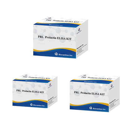 Szpitale Laboratoria Kliniki używają prolaktyny ilościowy immunoanaliz ELISA TEST KIT