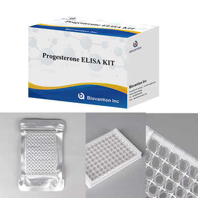 Szpitale Laboratoria Kliniki używają progesteronu Ilościowy test immunologiczny ELISA Test KIT