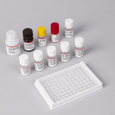Powszechnie stosowany zestaw badawczy hormonów tarczycy T4 Triiodotyronina ELISA