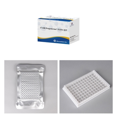 17-OH Elucja progesteronu in vitro Diagnostyczny zestaw testowy Elisa dla kobiet z dodatkami Dokładne testy
