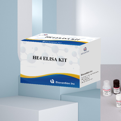 Zestaw immunologiczny HE4 Związany z enzymem Human Epididymis Protein 4 ELISA