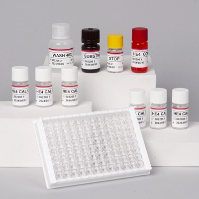 Zestaw immunologiczny HE4 Związany z enzymem Human Epididymis Protein 4 ELISA