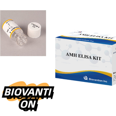 Zestaw badawczy antymulleriańskiego hormonu ELISA AMH ELISA Zestaw badawczy immunologiczny