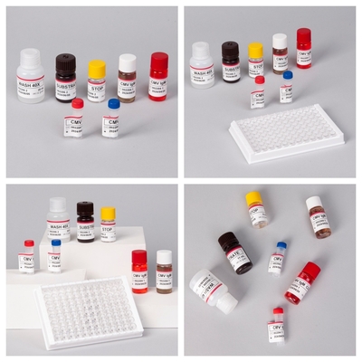 Zestaw testowy Elisa do wykrywania przeciwciał CMV przeciwko cytomegalovirusom