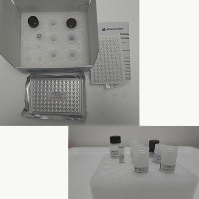 Human TNF-α RUO Elisa Test Kit dla surowicy z 96 badaniami