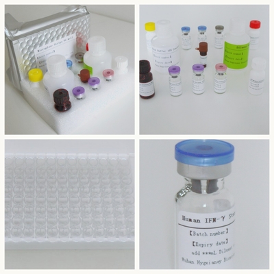 Zestaw badawczy Elisa do wykrywania odpowiedzi immunologicznej pośredniczonej przez komórki T