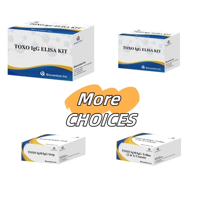 TOXO Ig G Sensory and Specific Elisa Test Kit do monitorowania chorób