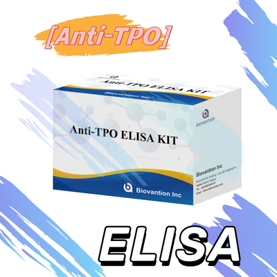 Odczuwalne przeciwciała do peroksydazy tarczycy Elisa Test Kit do diagnostyki u ludzi