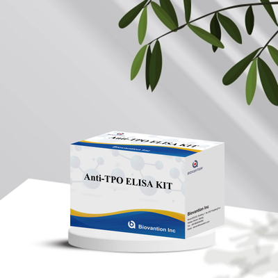 Odczuwalne przeciwciała do peroksydazy tarczycy Elisa Test Kit do diagnostyki u ludzi