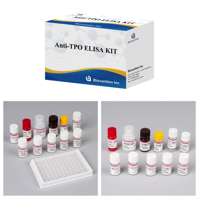 Odczuwalne przeciwciała do peroksydazy tarczycy Elisa Test Kit do diagnostyki u ludzi