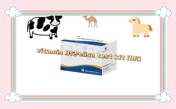 Witamina B12 Elisa Test Kit Of Enzyme- Linked Product RESEARCH UŻYCENIE TEST ONLY na zwierzętach