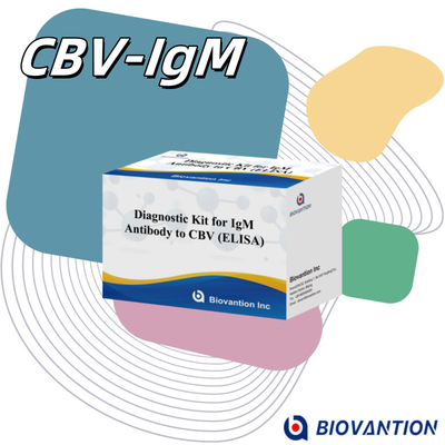 18 miesięcy Okres ważności Test immunosorbentalny związany z enzymem na obecność przeciwciał IgM do CBV