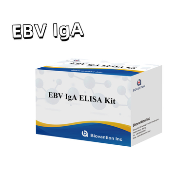 Profesjonalny zestaw testowy Elisa do diagnostyki przeciwciał IgA do EBV-Zta