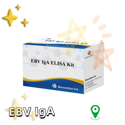 Profesjonalny zestaw testowy Elisa do diagnostyki przeciwciał IgA do EBV-Zta