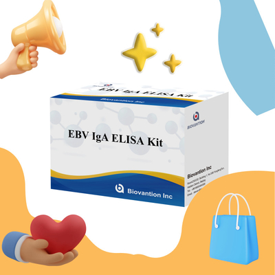 Profesjonalny zestaw testowy Elisa do diagnostyki przeciwciał IgA do EBV-Zta