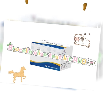 Zestaw badawczy na Brucella elisa RUO Elisa Test Kit Of Enzyme-Linked Product RESEARCH UŻYCENIE WYJEDNIE Badania na zwierzętach