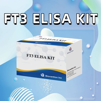 FT3 Wolna trijodotyronina dla ludzi Zestawy z reagentami diagnostycznymi z 96T testem ELISA dla laboratorium szpitalnego