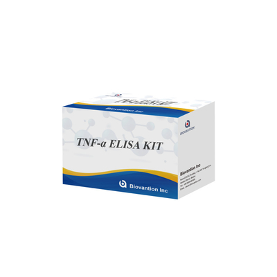 TNF-α RUO Elisa Test For Serum Plasma Dokładne i wygodne rozwiązanie diagnostyczne do badań