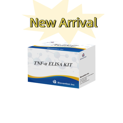 TNF-α RUO Elisa Test For Serum Plasma Dokładne i wygodne rozwiązanie diagnostyczne do badań