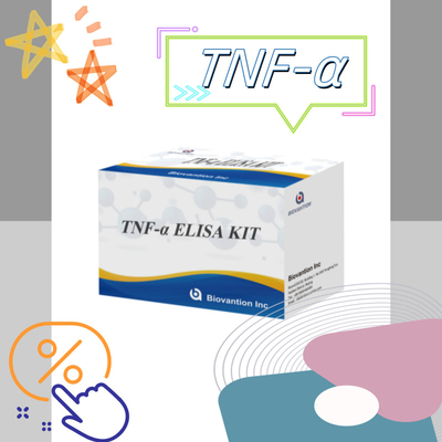 TNF-α RUO Elisa Test For Serum Plasma Dokładne i wygodne rozwiązanie diagnostyczne do badań