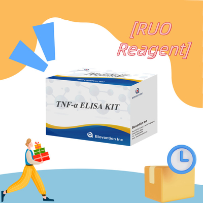 TNF-α RUO Elisa Test For Serum Plasma Dokładne i wygodne rozwiązanie diagnostyczne do badań