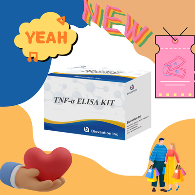 TNF-α RUO Elisa Test For Serum Plasma Dokładne i wygodne rozwiązanie diagnostyczne do badań
