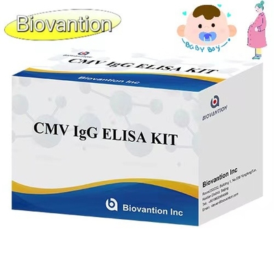 CMV IgG ELISA Kit Kobiety w ciąży Badanie profilaktyczne Wysoka dokładność