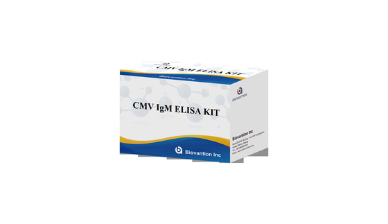 CMV IgM ELISA Kit Wysokiej dokładności Test profilaktyczny kobiet w ciąży