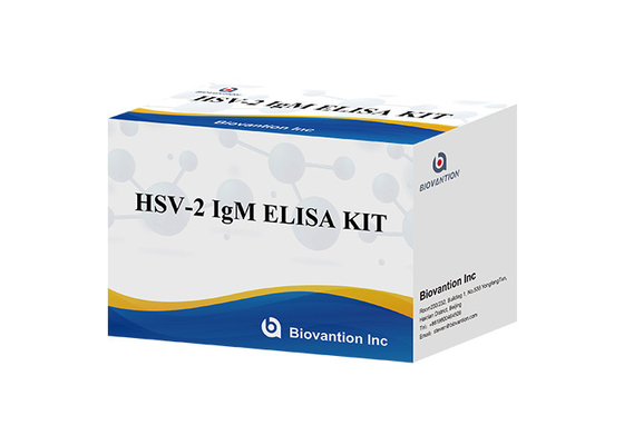 HSV 2 IgM Torch ELISA Test Kit Wysokiej dokładności Instrukcje dotyczące stosowania