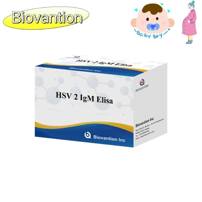 HSV 2 IgM Torch ELISA Test Kit Wysokiej dokładności Instrukcje dotyczące stosowania