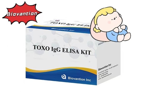 Zestaw badawczy TOXO IgG ELISA z wysoką wrażliwością na pochodnię Test szpitalny Kontrola ciąży