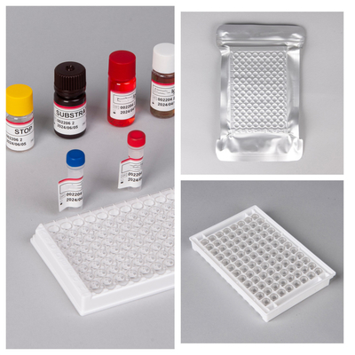 Zestawy do badań HIV Ab Ag Elisa z 18-miesięczną żywotnością oraz wysoką wrażliwością/specyficznością