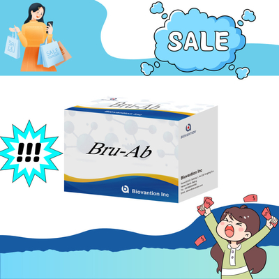 ELISA Animal Bru-Ab Elisa Reagent With 192t dla świń Koz, bydła i owiec