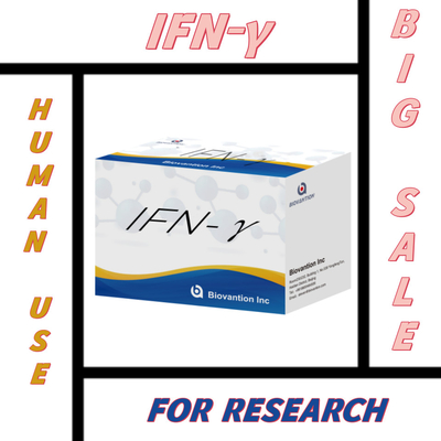 Badania laboratoryjne Elisa Reagens Kit do stosowania u ludzi IFN-γ Elisa Reagents Wysoka wrażliwość