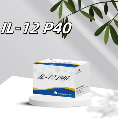 96 T Serum 98% specyficzność ELISA RUO Test Kit Human IL-12 P40