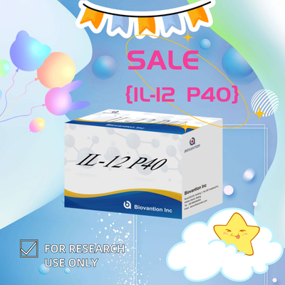 96 T Serum 98% specyficzność ELISA RUO Test Kit Human IL-12 P40