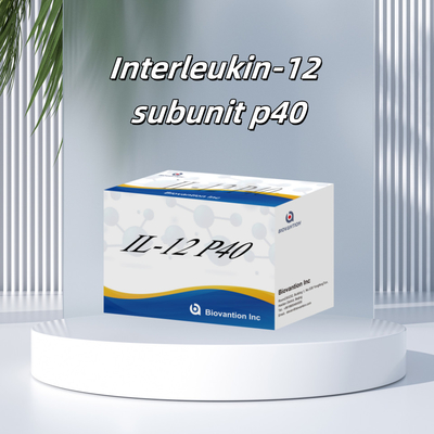 96 T Serum 98% specyficzność ELISA RUO Test Kit Human IL-12 P40