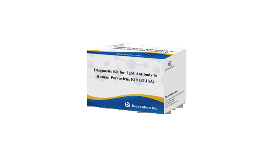 Przeciwciało do ludzkiego parworyusu B19 IgM ELISA Test Kit Diagnostyczny Kit