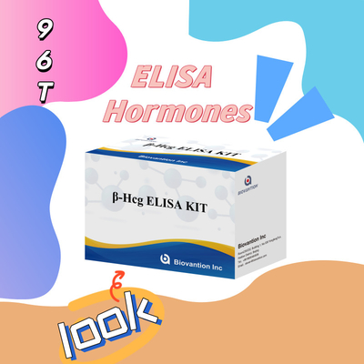 β-hCG ((Kwantytatywny) 1 Godzinny zestaw testowy Elisa dla wrażliwości i specyficzności przeciwciał