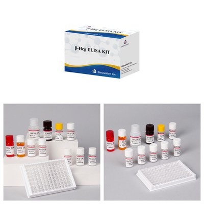 β-hCG ((Kwantytatywny) 1 Godzinny zestaw testowy Elisa dla wrażliwości i specyficzności przeciwciał