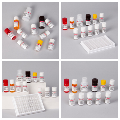 β-hCG ((Kwantytatywny) 1 Godzinny zestaw testowy Elisa dla wrażliwości i specyficzności przeciwciał