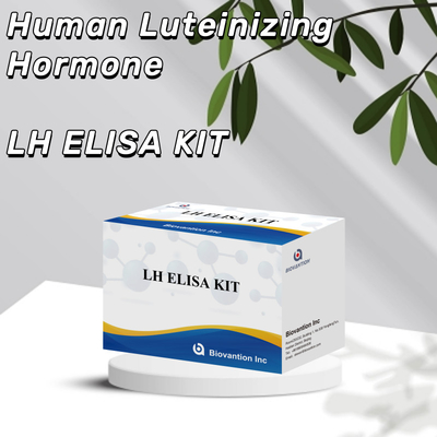Biovantion ELISA Test Kit for diagnosis Human Luteinizing Hormone LH (Quantitative)