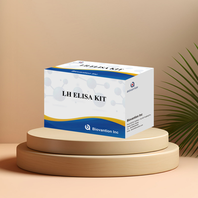 Biovantion ELISA Test Kit for diagnosis Human Luteinizing Hormone LH (Quantitative)