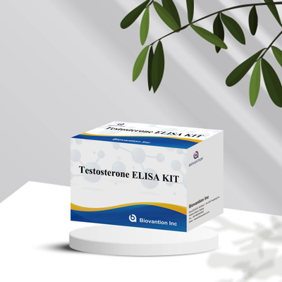 Próbka osocza próbka ELISA reagent detekcji ludzkiej Test0sterone Quantitative ELISA kit