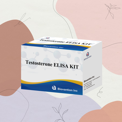 Próbka osocza próbka ELISA reagent detekcji ludzkiej Test0sterone Quantitative ELISA kit