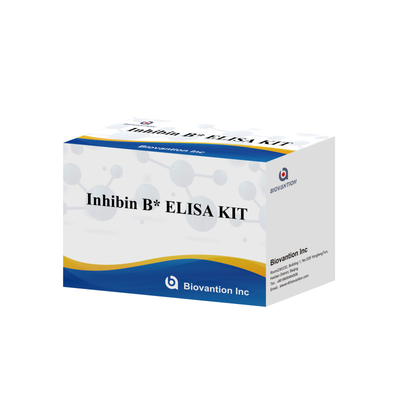 Biovantion Inhibin B Elisa Test Kit do diagnostyki u ludzi z 96T