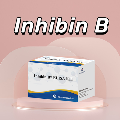 Biovantion Inhibin B Elisa Test Kit do diagnostyki u ludzi z 96T