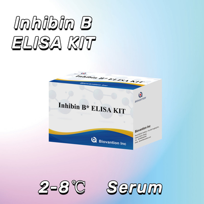 Biovantion Inhibin B Elisa Test Kit do diagnostyki u ludzi z 96T
