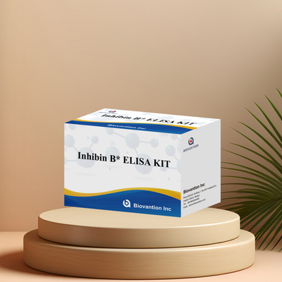 Biovantion Inhibin B Elisa Test Kit do diagnostyki u ludzi z 96T