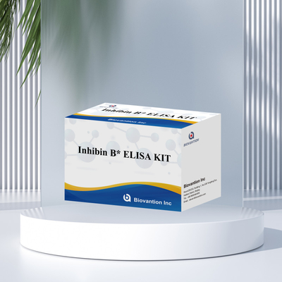 Biovantion Inhibin B Elisa Test Kit do diagnostyki u ludzi z 96T